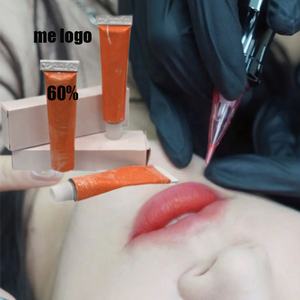 Crema <span class=keywords><strong>de</strong></span> tatuaje <span class=keywords><strong>de</strong></span> salón profesional, suministros <span class=keywords><strong>de</strong></span> micropigmentación <span class=keywords><strong>de</strong></span> tinta <span class=keywords><strong>de</strong></span> tatuaje, máquina PMU, lápiz <span class=keywords><strong>de</strong></span> cejas, marcador <span class=keywords><strong>de</strong></span> piel, paquete <span class=keywords><strong>de</strong></span> equipo - Product Image 2