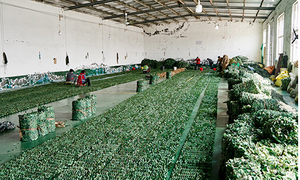 210D ngoài trời ngụy trang Net săn bắn trò chơi Camo lưới vườn riêng tư màn hình xe bao gồm bóng râm Lưới - Product Image 6