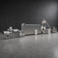 Ligne de production d'aliments pour animaux de compagnie par extrusion, automatique, en acier inoxydable, haute efficacité, solution clé en main