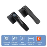 Nueva llegada Manijas de puerta Aplicación de lujo Modelo digital Ttlock Código de desbloqueo Wifi Biométrico inteligente Cerradura de huella digital de puerta