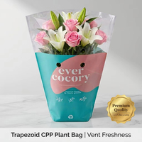 Bolsas de Embalaje Transparentes de OPP Trapezoidales para Ramos de Flores, Impresión de Logotipo Personalizado, para Envolver Regalos