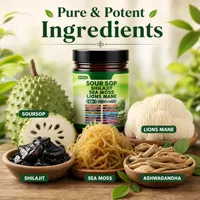 Complément Adaptogène 24-en-1 : Capsules de Corossol, Shilajit, Mousse de Mer, Crinière de Lion pour la Santé Immunitaire, Énergétique et Cérébrale – 60 Comprimés – Adulte – OEM ODM