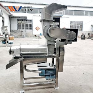 Lê cà rốt Máy ép trái cây vắt hành tây vắt rau mùi tây dâu trái cây nho nước trái cây khai thác máy cho công nghiệp - Product Image 4