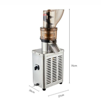 Hete verkoop automatische commerciële fruitpersmachine 300W-1200W voor appel, sinaasappel en peer sap, voor detailhandel