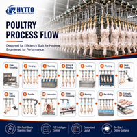 Ligne d'abattage avicole écoénergétique, machine d'abattage pour abattoir, équipement d'abattage de poulets, CE ISO, traitement automatique personnalisé