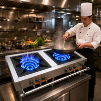 Cuisinière à gaz commerciale à 2 brûleurs, plaque de cuisson wok en acier inoxydable, cuisinière chinoise pour restaurant et cuisine