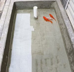 Le meilleur revêtement imperméabilisant acrylique à base de ciment pour toiture, mur, salle de bain, revêtement imperméabilisant industriel extérieur - Product Image 2