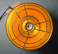 Nouvelle Lampe Chauffante Infrarouge 2026 avec Radiateur en Aluminium et Support Céramique pour l'Élevage de Volailles et Poulets