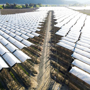 Tissu tissé en PE stabilisé aux UV, protection anti-goutte, film <span class=keywords><strong>de</strong></span> protection contre la pluie, découpe, bâche <span class=keywords><strong>de</strong></span> <span class=keywords><strong>serre</strong></span> pour vergers, bord renforcé - Product Image 4