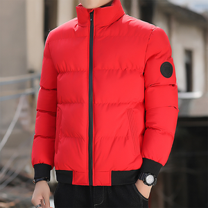 OEM personalizado chaquetas de invierno informales de los hombres brillante cálido Abrigo acolchado con capucha cierre de cremallera corto tejido de nailon impreso pato ganso - Product Image 4