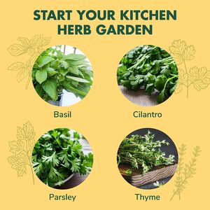 Kit héritage jardin sans OGM basilic thym persil coriandre herbe bricolage Kits de culture Kit de démarrage pour jardin d'<span class=keywords><strong>herbes</strong></span> d'<span class=keywords><strong>intérieur</strong></span> pour débutant - Product Image 2