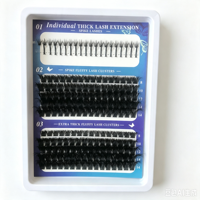 Kit de cils en grappe personnalisés DIY Manga, marron coloré, effet Spiker, avec cils inférieurs, adhésif et scellant, logo personnalisé