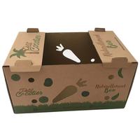 Cajas de Embalaje Plegables de Papel Corrugado Resistente para Frutas y Verduras, con Gran Capacidad, Orificios de Ventilación, Protección para Frutas, Recicladas