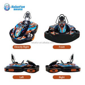 RaiseFun Erwachsenen-Benzin-Gokart 200CC für Innen- und Außenbereich, Kommerzielles Benzin-Karting, Hochleistungs-Rennwagen - Product Image 3