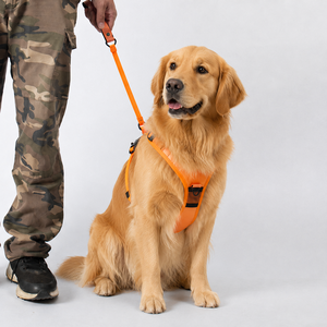 Harnais et laisse rétractables 2 en 1 pour chien, anti-traction, gilet de poitrine pour animaux de compagnie, laisse automatique pour grands chiens, promenade en extérieur - Product Image 1