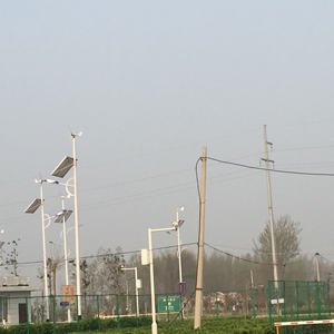 Micro-générateur éolien chinois 300w, éolienne, moulin à vent pour usage domestique 12/24v, vente chaude - Product Image 6