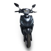 Moto électrique professionnelle de haute qualité 1000W, scooter intelligent à deux roues, véhicule électronique, batterie au lithium en vente
