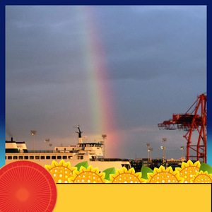 บริการขนส่งทางเรือและทางอากาศของรุ่ยเซียง แอฟริกา ไลน์ สำหรับแอฟริกา บริการขนส่งแบบ LCL ด่วน พร้อมบริการพิธีการศุลกากรและเอกสาร - Product Image 4