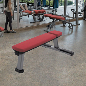 Equipo de Gimnasio Comercial QLK, Máquinas de Ejercicio y Musculación, Levantamiento de Pesas, Entrenamiento en Casa, Plataforma Plana LK-051, Gimnasio Comercial QLK - Product Image 2