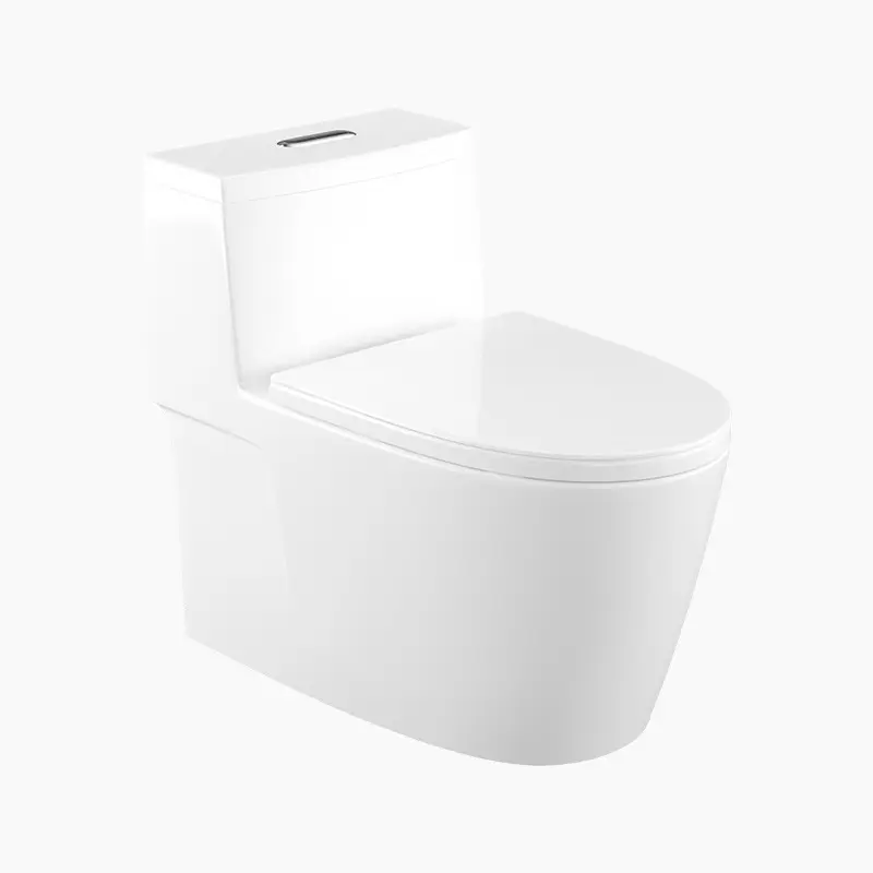Luxury Ground WC Fur Bauschtel Toilet Bowl Sanitary Ware One Piece Toilet Sets Hotel Bathroom Use Ceramic Toilets