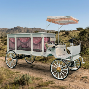Cercueil électrique pour événements spéciaux avec couleur personnalisée et structure en acier, chariot avec auvent - Product Image 1