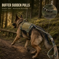 Ensemble collier et laisse tactiques pour chien, anti-traction, harnais réglable en nylon pour grands chiens, berger allemand, entraînement en extérieur