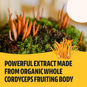 OEM Fabrika Doğrudan Satış İmmün Sistemi Güçlendirici <span class=keywords><strong>Cordyceps</strong></span> Sinensis Kapsülleri 2 Kapsül/Porsiyon 500mg Yetişkin Sağlık Takviyesi - Product Image 3