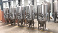 Équipement de brasserie 500l, réservoir de fermentation de bière, fournisseur d'équipement, machine à bière artisanale