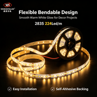 Bande LED flexible haute luminosité DC24V 224LEDs/m SMD2835, température de couleur 3000K-6000K, éclairage paysager à corps en cuivre.