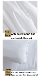 Edredones <span class=keywords><strong>de</strong></span> microfibra personalizados, edredón <span class=keywords><strong>de</strong></span> <span class=keywords><strong>cama</strong></span>, edredón <span class=keywords><strong>de</strong></span> color negro <span class=keywords><strong>para</strong></span> el hogar, edredones <span class=keywords><strong>de</strong></span> microfibra personalizados, edredón <span class=keywords><strong>de</strong></span> <span class=keywords><strong>cama</strong></span>, edredón <span class=keywords><strong>de</strong></span> color negro <span class=keywords><strong>para</strong></span> Ho - Product Image 5