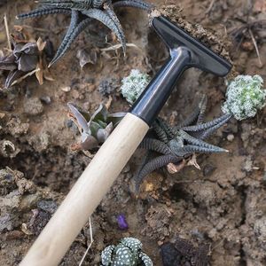 Set di mini attrezzi da giardinaggio - Piccola pala, rastrello, forchetta per piante grasse, fiori, piante da interno, giardinaggio sul balcone - Product Image 4