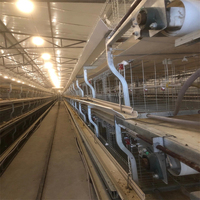 Élevage de volaille de Type H 3 niveaux, 4 niveaux, couche d'œufs, nouveau Design moderne, Cage de batterie de poulet