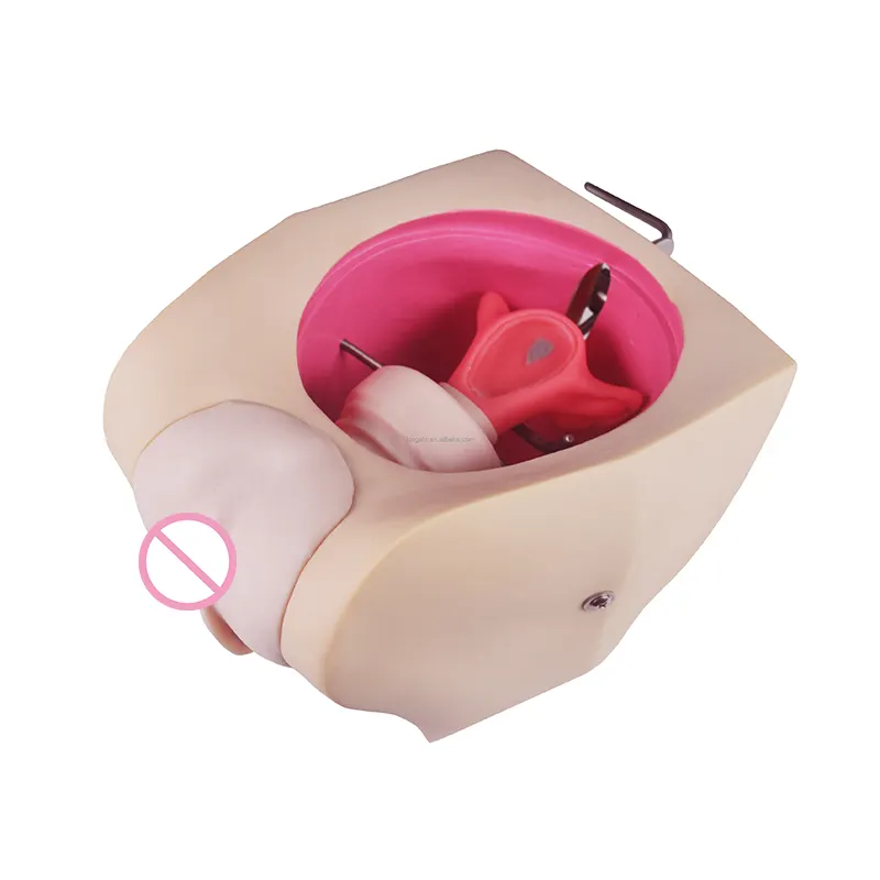 KSM-107C Female Contraception Practice Simulator Training Model