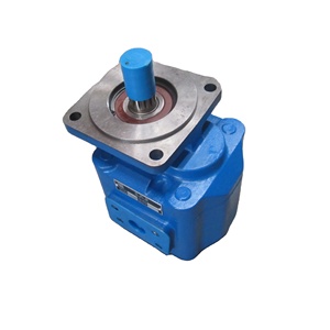 Pompe à engrenages 100250 pour chargeurs/hydrauliques 11C0007P02, pour ensemble complet de pièces de machines de construction - Product Image 1