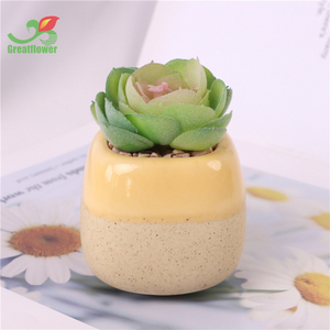 <span class=keywords><strong>Piante</strong></span> <span class=keywords><strong>grasse</strong></span> artificiali <span class=keywords><strong>in</strong></span> vasi fioriera <span class=keywords><strong>in</strong></span> ceramica piccola Mini decorazione per <span class=keywords><strong>piante</strong></span> per la casa - Product Image 5