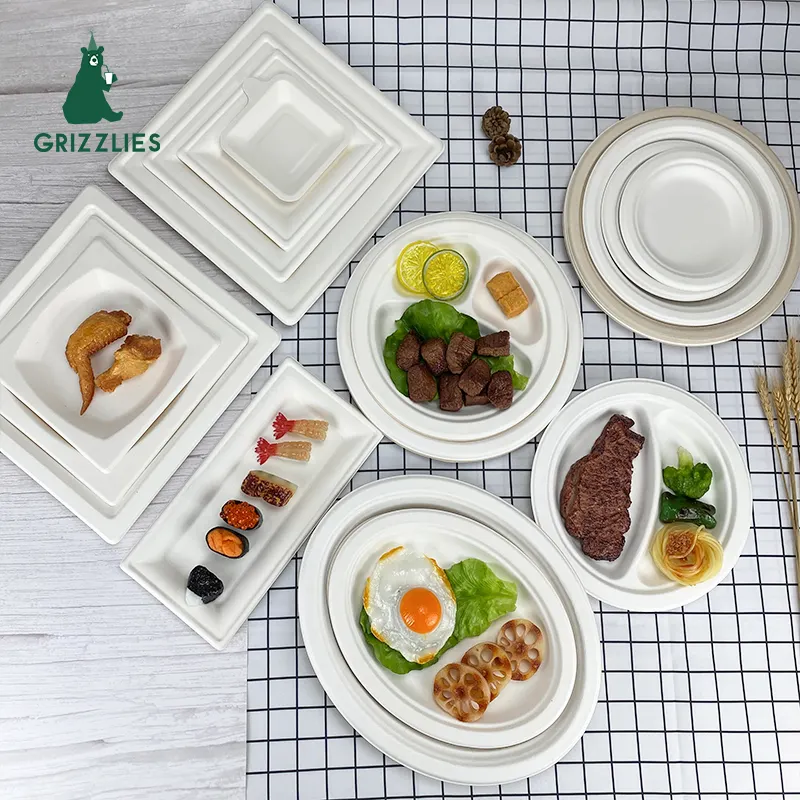 Eco Friendly Biodegradable Compostable Sugarcane Bagasse Products Plate Dish Paper Tableware Dinnerware Manufacturer