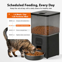 Usine OEM ODM Distributeur automatique intelligent pour animaux de compagnie 6L 2.4G WiFi, gamelle en acier inoxydable 304 pour chats et chiens, contrôle par application, vente en gros, marque privée