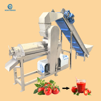 Automatische, hoog-efficiënte fruit- en groentesapcentrifuge met hellende transportband voor commercieel gebruik, waterbestendig