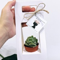 Boîte à plantes vertes Xiyu, boîte d'emballage pour fleurs fraîches, boîte pour plantes succulentes en pot, boîte en jacquard tissé à la main, boîte à fleurs pliable, boîte pliable