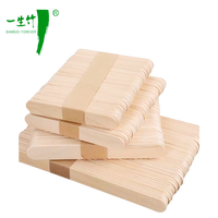 Bâtonnets de glace miniatures biodégradables en bois pour commande urgente, personnalisables avec logo, agitateurs à café en bambou, outils de crème glacée en gros