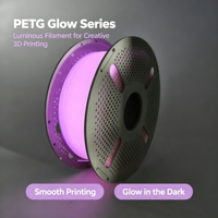 Filament PETG Luminescent Haute Résistance aux Chocs Enroulement Soigné Sans Bulles Matériau d'Impression 3D FDM pour Œuvres d'Art