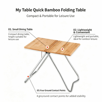 Table pliante portable en aluminium durable, compacte, gain de place, légère, mobilier d'extérieur pour le camping, le pique-nique, le jardin, la terrasse, la plage