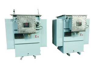 Máy biến áp chống cháy nổ 50-315kva hiệu suất cao để thích ứng điện áp cao của thiết bị điện công nghiệp 13-25kv - Product Image 3