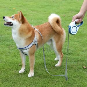 Nuevas Ideas de productos en existencia 3-5M correa retráctil automática para gatos correa para mascotas al aire libre correa para perros - Product Image 6