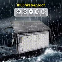 Projecteur Solaire LED Extérieur Étanche IP65 100W pour Aménagement Paysager, Lampadaire Solaire Télécommandé 50W 100W, Projecteurs Solaires