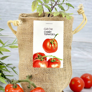 Sacs de culture écologiques biodégradables en jute non tissé <span class=keywords><strong>pour</strong></span> tomates cerises, pots de plantes d'extérieur, kit complet <span class=keywords><strong>pour</strong></span> serre de culture intérieure toutes saisons - Product Image 5