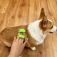 2026 sac pour animaux de compagnie chien épilation peigne de Massage réglable Silicone Massage perte brosse adapté aux jambes de Table