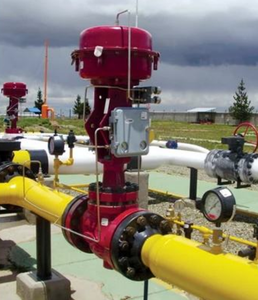 Masoneilan 41005 Original, Vanne à flange guidée en acier inoxydable 2"-24" pour l'industrie pétrolière, gazière et des centrales électriques - Product Image 6