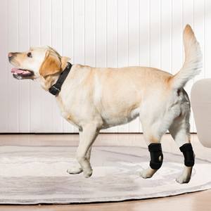 Supporto <span class=keywords><strong>rotula</strong></span> per ginocchiera per cani Premium per riabilitazione da dislocazione delle articolazioni dei legamenti e protezione dagli infortuni per cani - Product Image 3