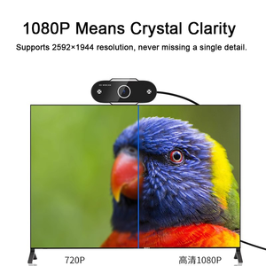 Webcam à mise au point automatique réglable pour la diffusion <span class=keywords><strong>en</strong></span> direct, les vidéoconférences et l'enseignement <span class=keywords><strong>en</strong></span> <span class=keywords><strong>ligne</strong></span> sur <span class=keywords><strong>PC</strong></span>, ordinateur portable et ordinateur de bureau - Product Image 5
